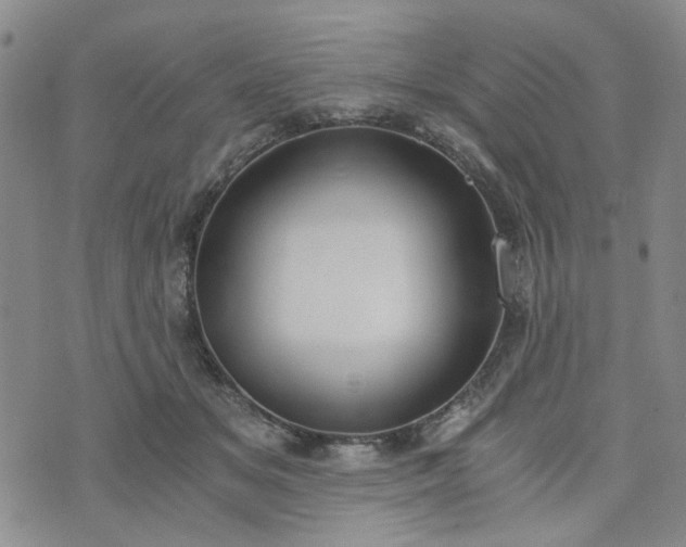 X0000076390509200610161143