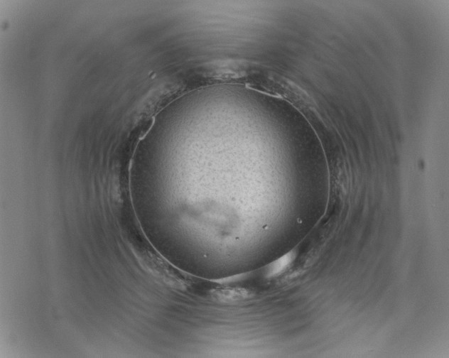 X0000076390512200610161143