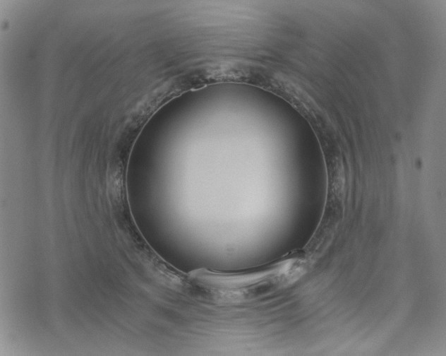 X0000076390513200610161143