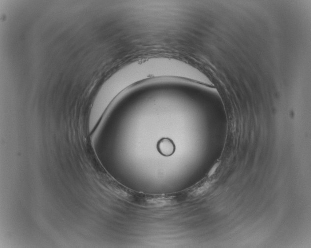 X0000076390516200610161143