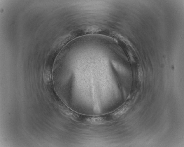 X0000076390517200610161143