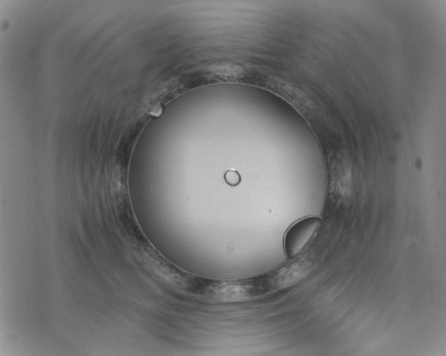 X0000076390518200610161143