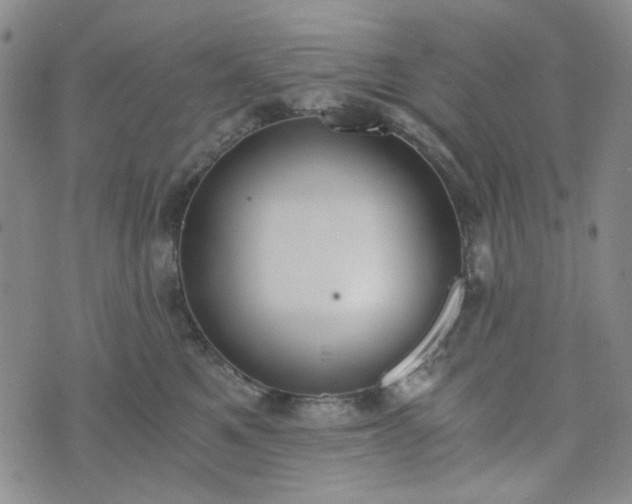 X0000076390521200610161143