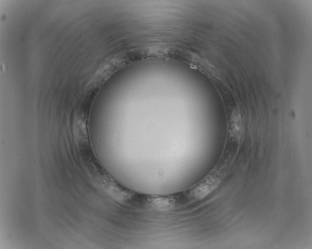 X0000076390522200610161143