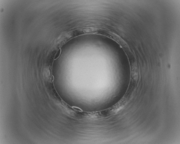 X0000076390523200610161143