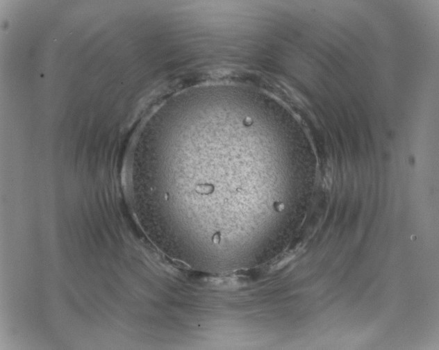 X0000076390524200610161143