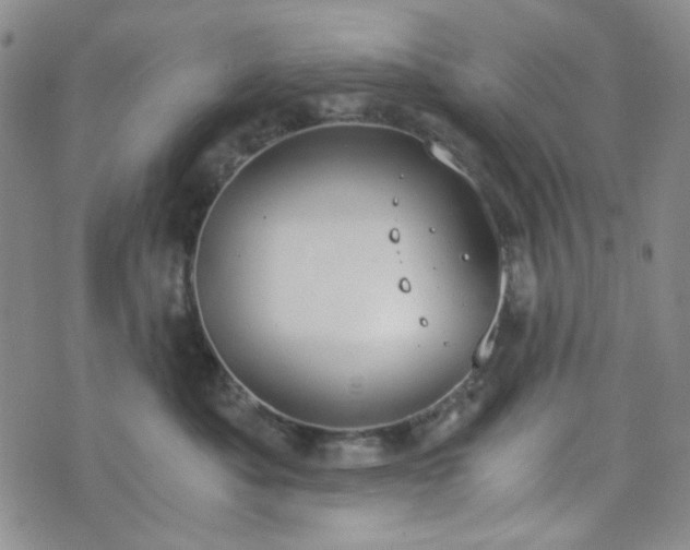 X0000076390525200610161143