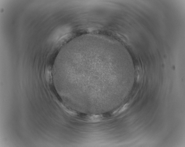 X0000076390527200610161143