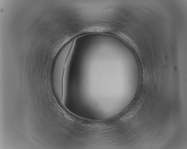 X0000076390529200610161142