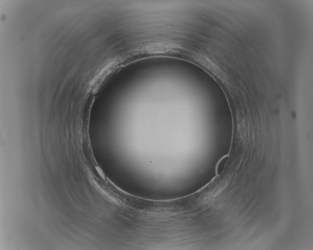 X0000076390530200610161142