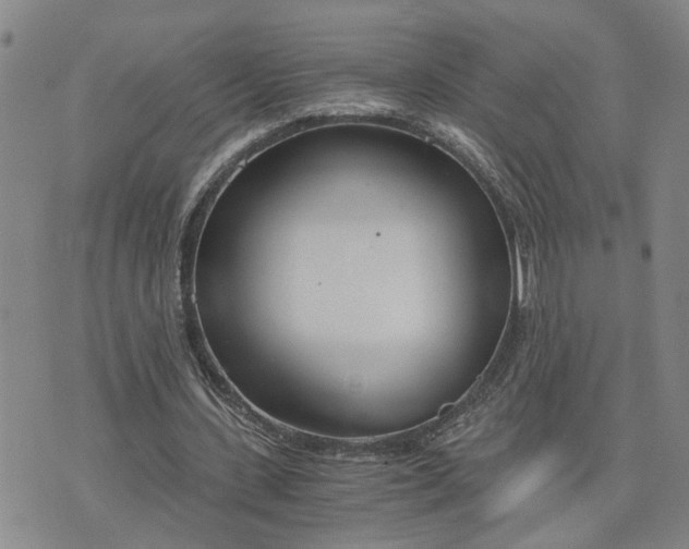 X0000076390531200610161142