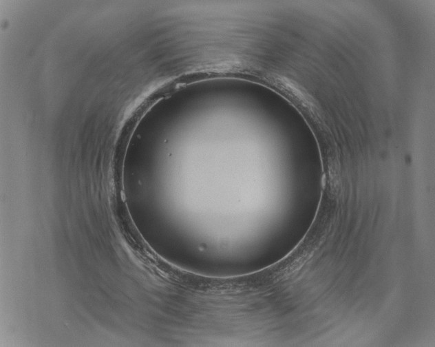 X0000076390532200610161142