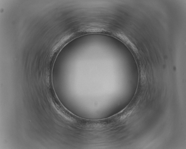 X0000076390533200610161142