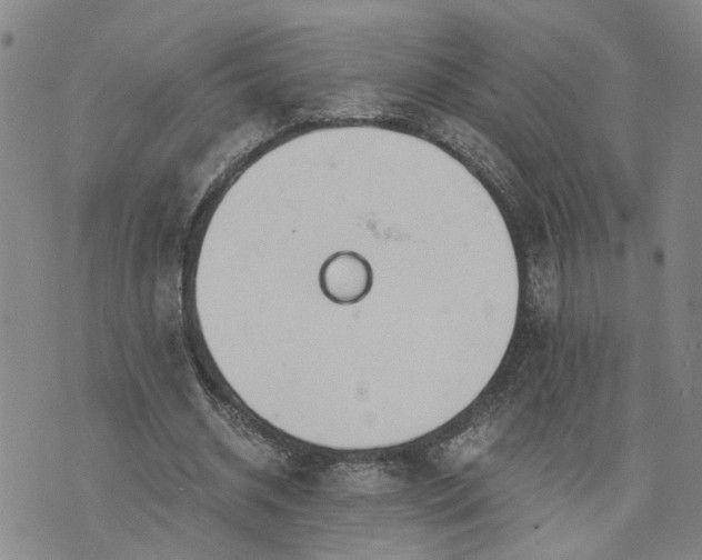 X0000076390534200610161142