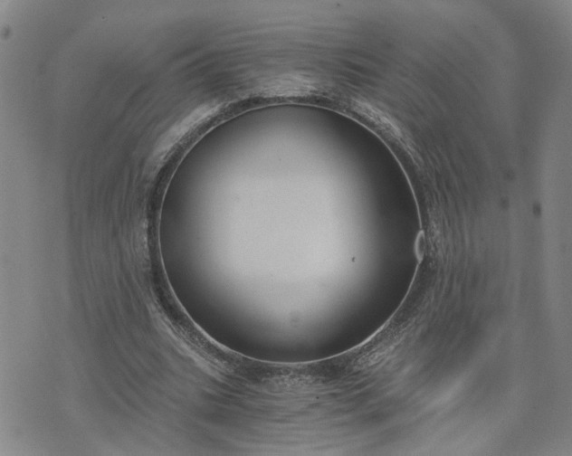 X0000076390535200610161142