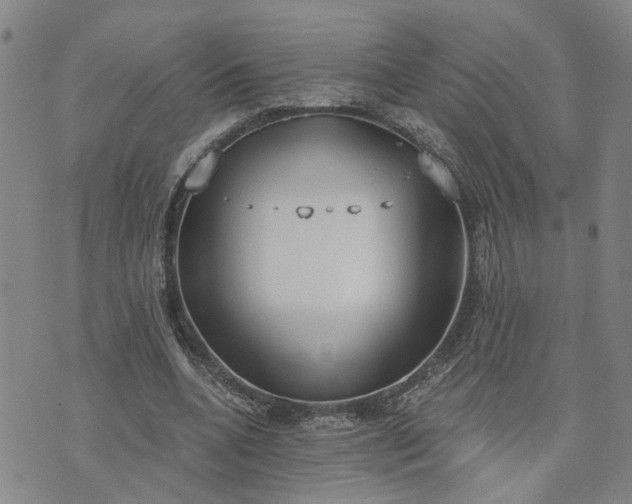 X0000076390536200610161142