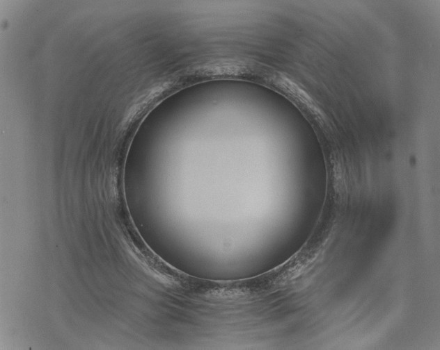 X0000076390537200610161142