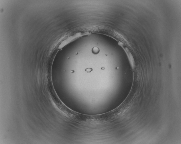 X0000076390538200610161142