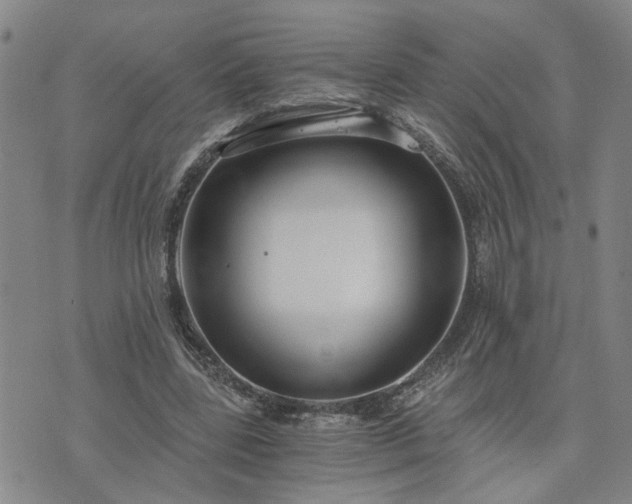 X0000076390539200610161143