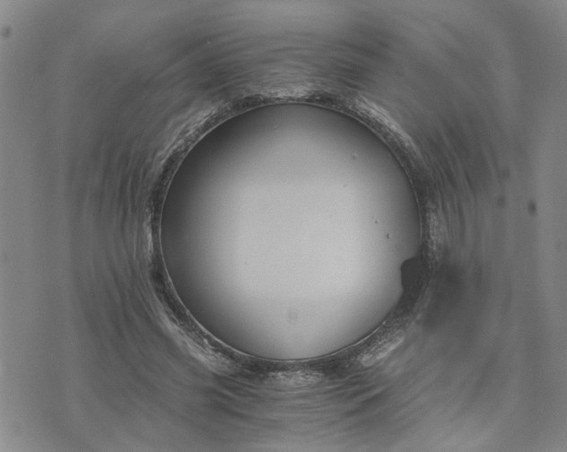 X0000076390541200610161143