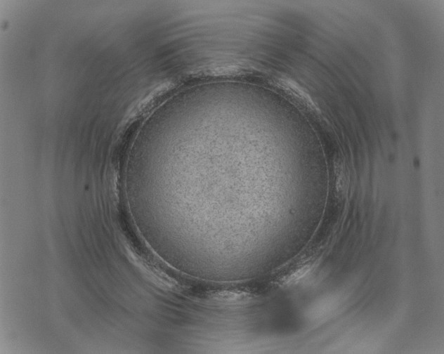 X0000076390542200610161143