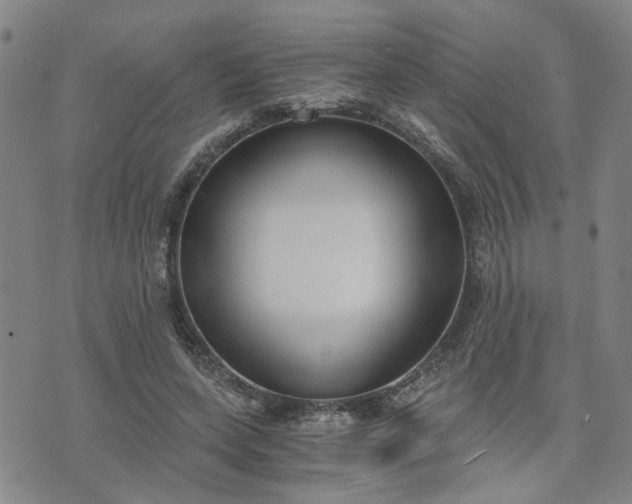 X0000076390543200610161143