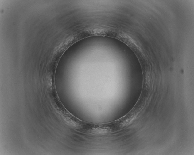 X0000076390545200610161143