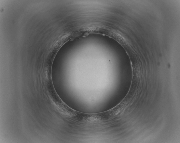 X0000076390546200610161143