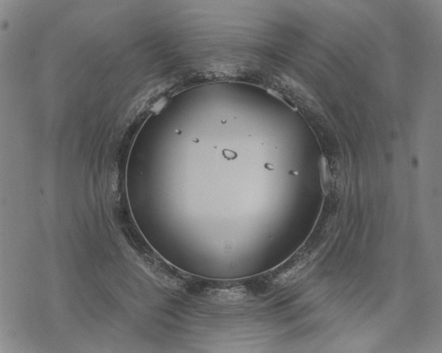 X0000076390548200610161143