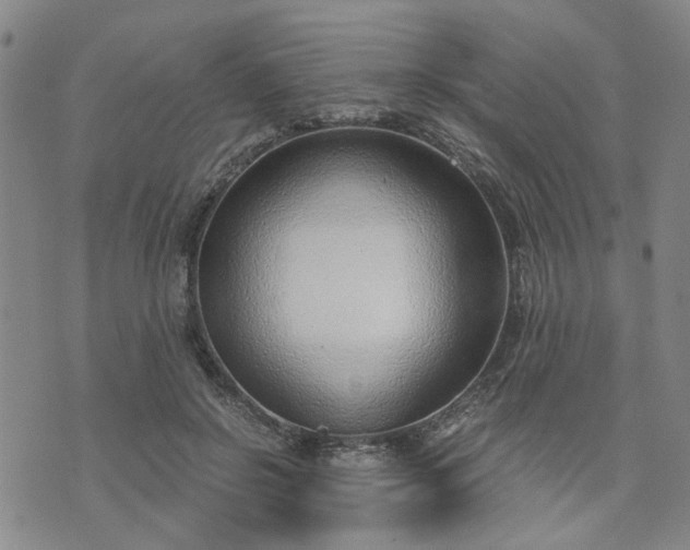 X0000076390550200610161143