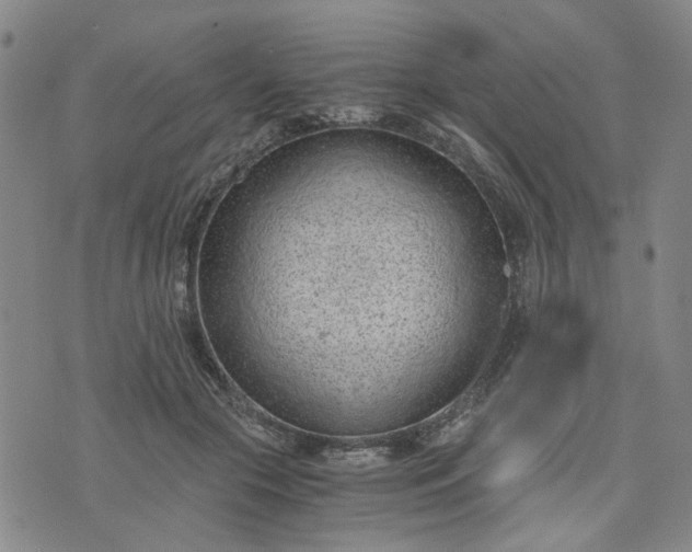 X0000076390553200610161143