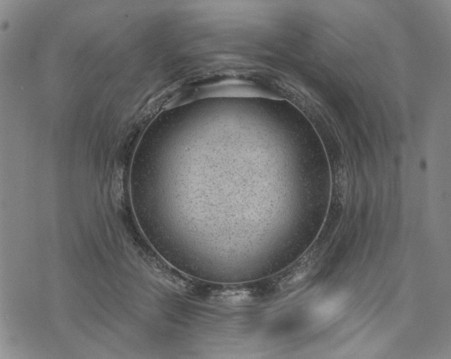 X0000076390554200610161143