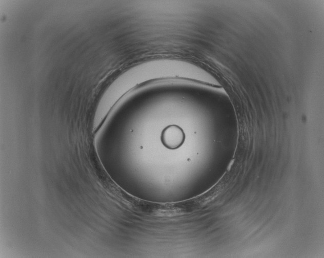 X0000076390556200610161143