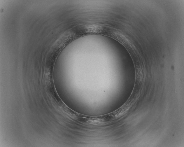 X0000076390557200610161143