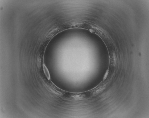 X0000076390558200610161143