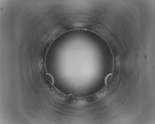 X0000076390559200610161143