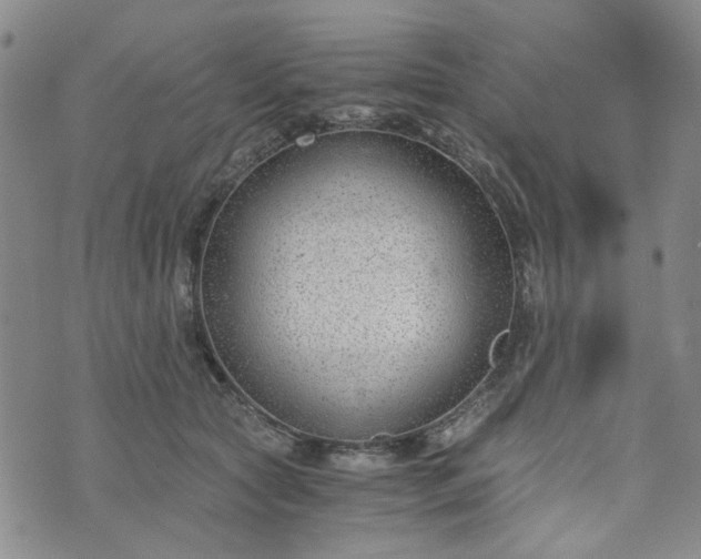 X0000076390561200610161143