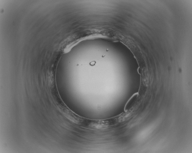 X0000076390563200610161143