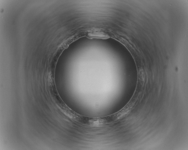 X0000076390564200610161143