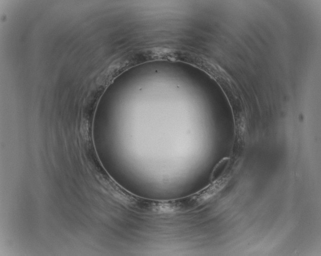 X0000076390565200610161143