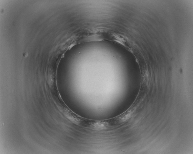 X0000076390566200610161143