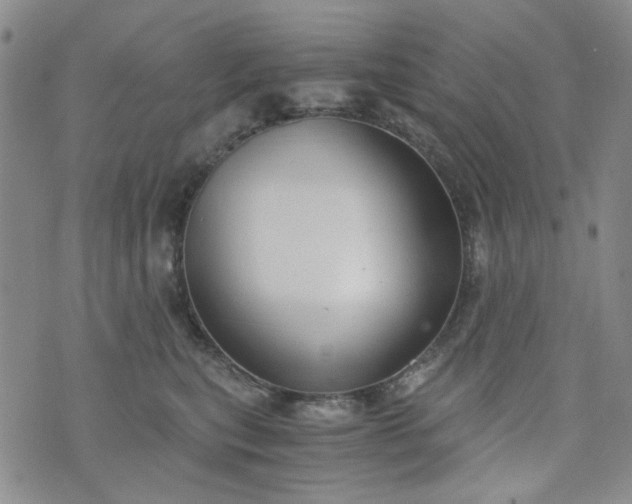 X0000076390567200610161143