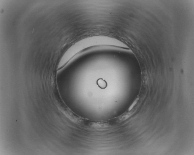 X0000076390568200610161143