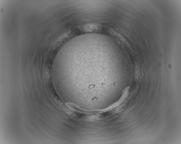 X0000076390569200610161143