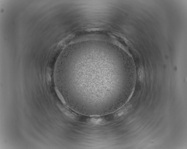 X0000076390570200610161143