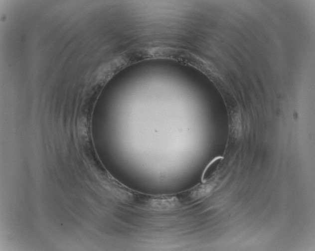 X0000076390571200610161143