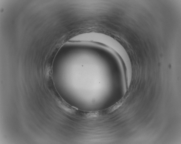 X0000076390574200610161143