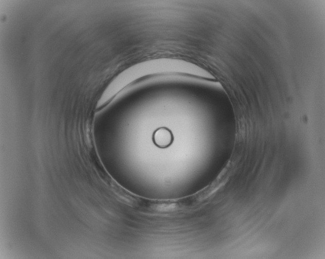 X0000076390575200610161143