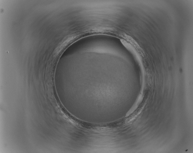 X0000076390577200610161142