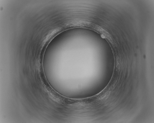 X0000076390578200610161142